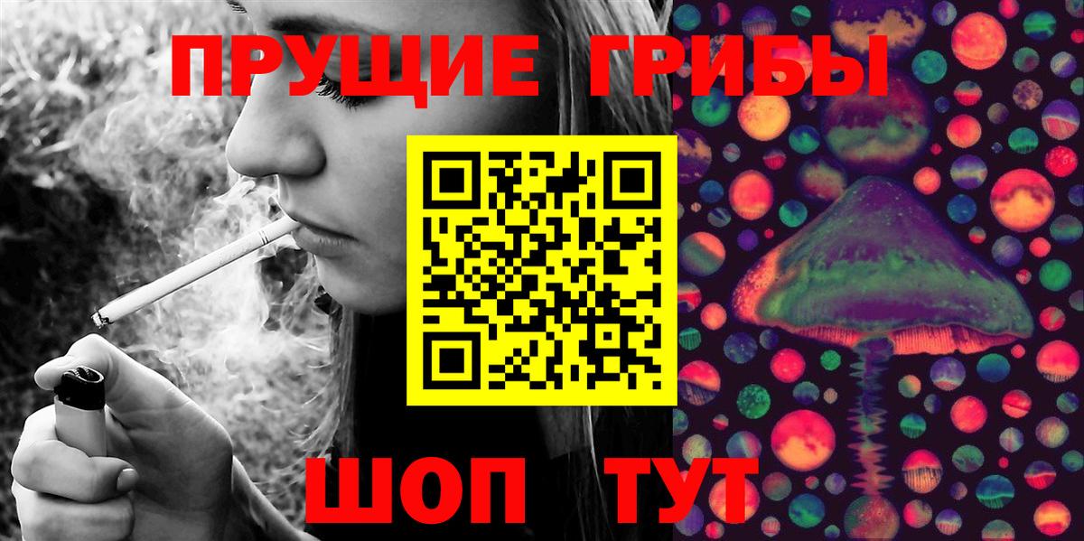 Знаменск  Псилоцибиновые грибы мицелий  Псилоцибиновые грибы Magic Shrooms  хочу   Вход с VPN 